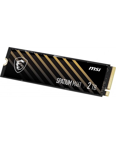 MSI SPATIUM M461 2TB  PCIe 4.0 NVMe M.2 - Pc Gamer Casa