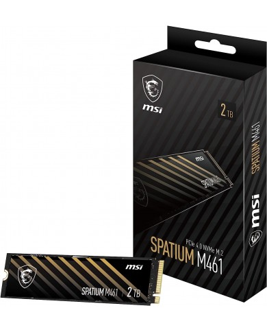 MSI SPATIUM M461 2TB  PCIe 4.0 NVMe M.2 - Pc Gamer Casa