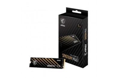 MSI SPATIUM M461 PCIe 4.0   - Pc Gamer Casa