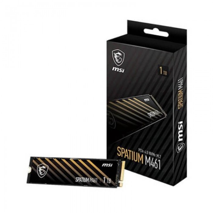 MSI SPATIUM M461 PCIe 4.0   - Pc Gamer Casa
