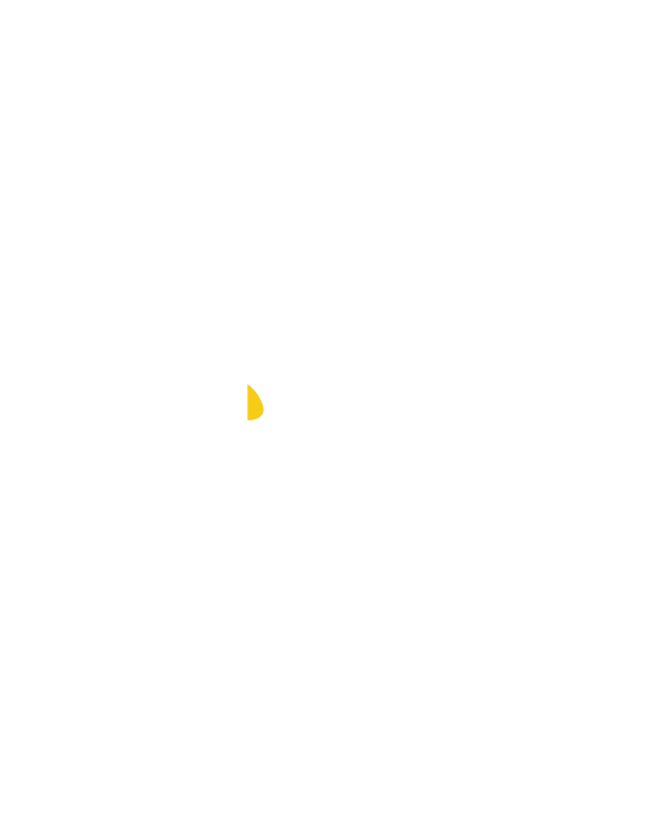 Palit