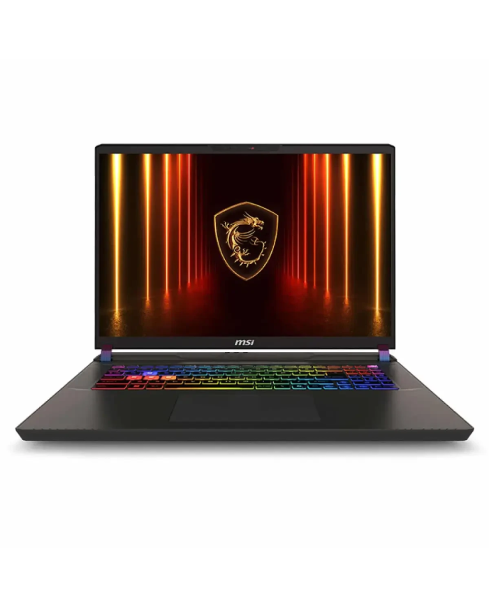 Ecran PC Portable