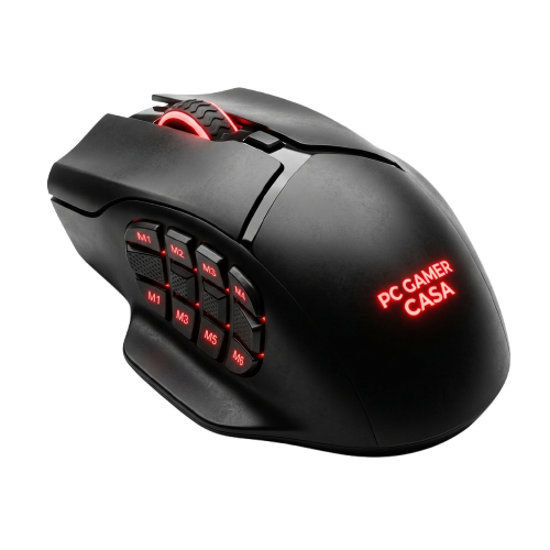 Souris Gaming